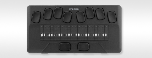 Brailliant BI 20X